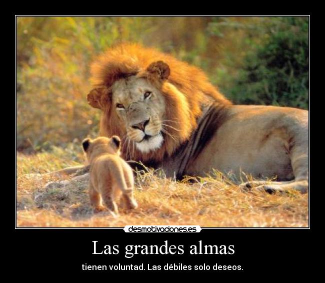 Las grandes almas -