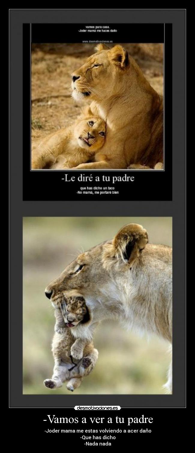 -Vamos a ver a tu padre -