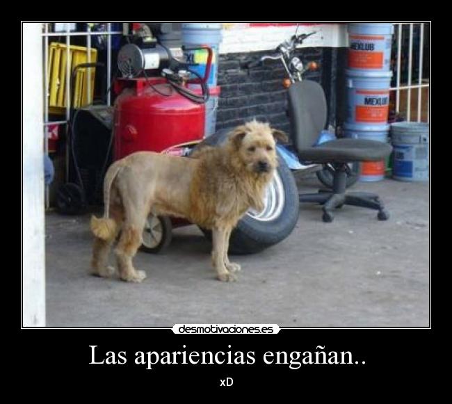 Las apariencias engañan.. - xD