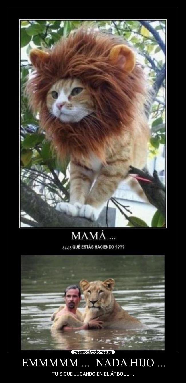 EMMMMM ... NADA HIJO ... - TU SIGUE JUGANDO EN EL ÁRBOL ......