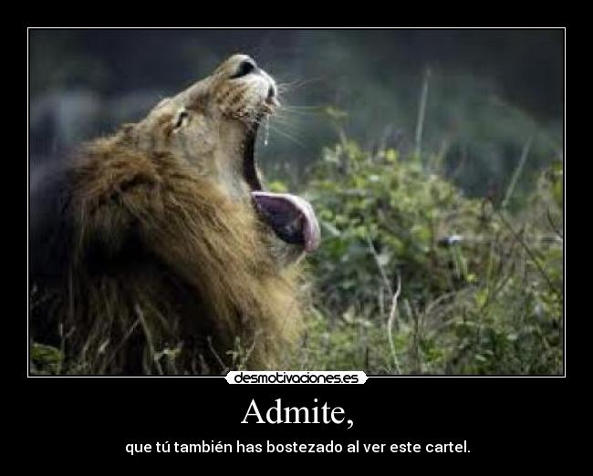 Admite, - que tú también has bostezado al ver este cartel.