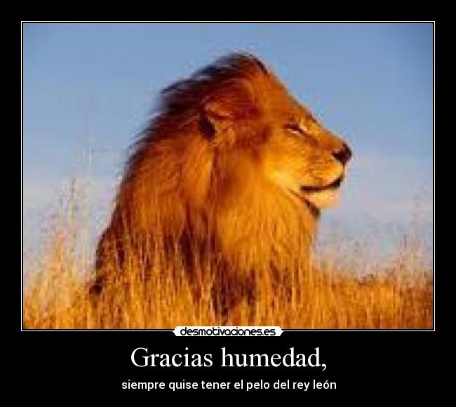 carteles humedad desmotivaciones