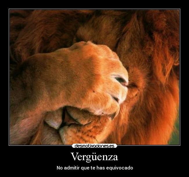 Vergüenza - No admitir que te has equivocado