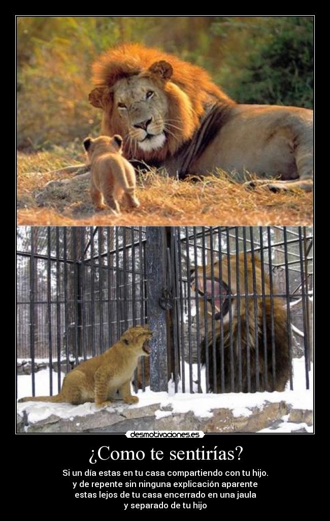 ¿Como te sentirías? - 