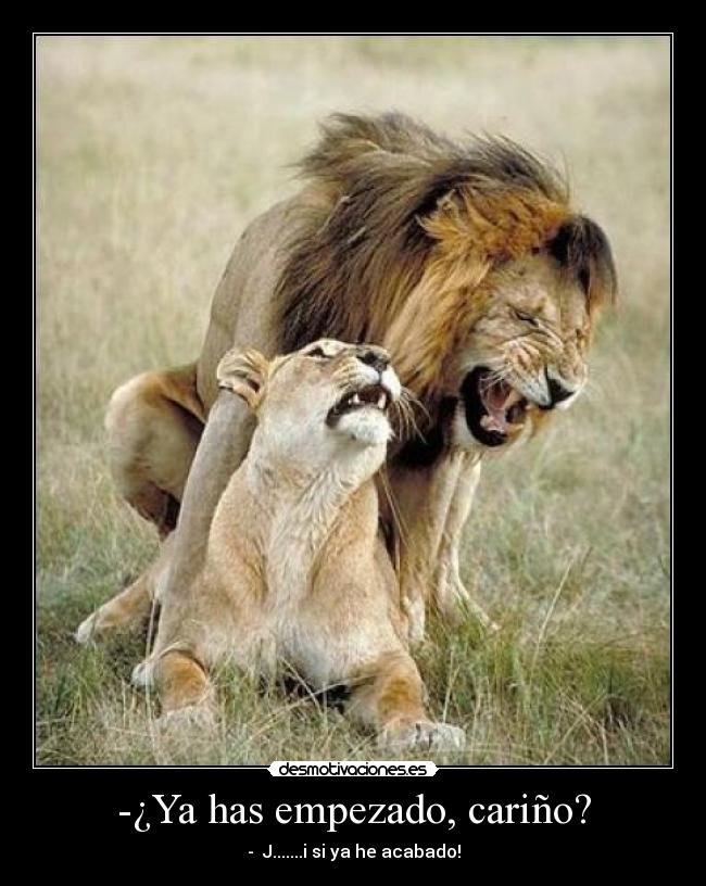 -¿Ya has empezado, cariño? - - J.......i si ya he acabado!