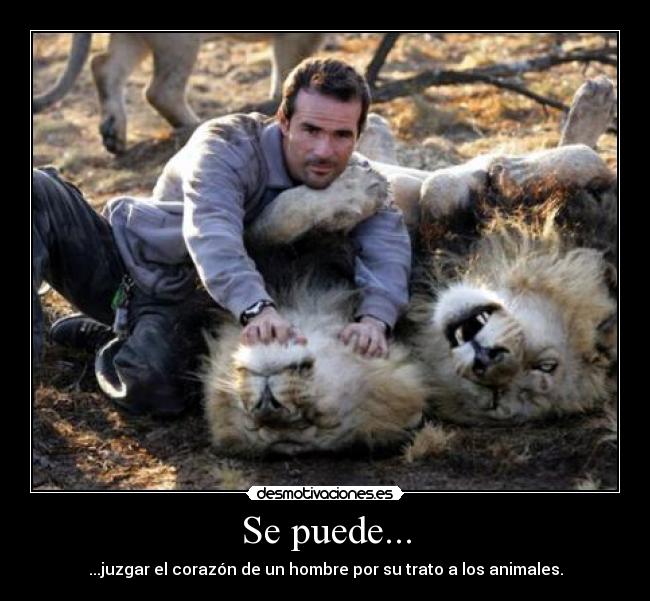 Se puede... - ...juzgar el corazón de un hombre por su trato a los animales.