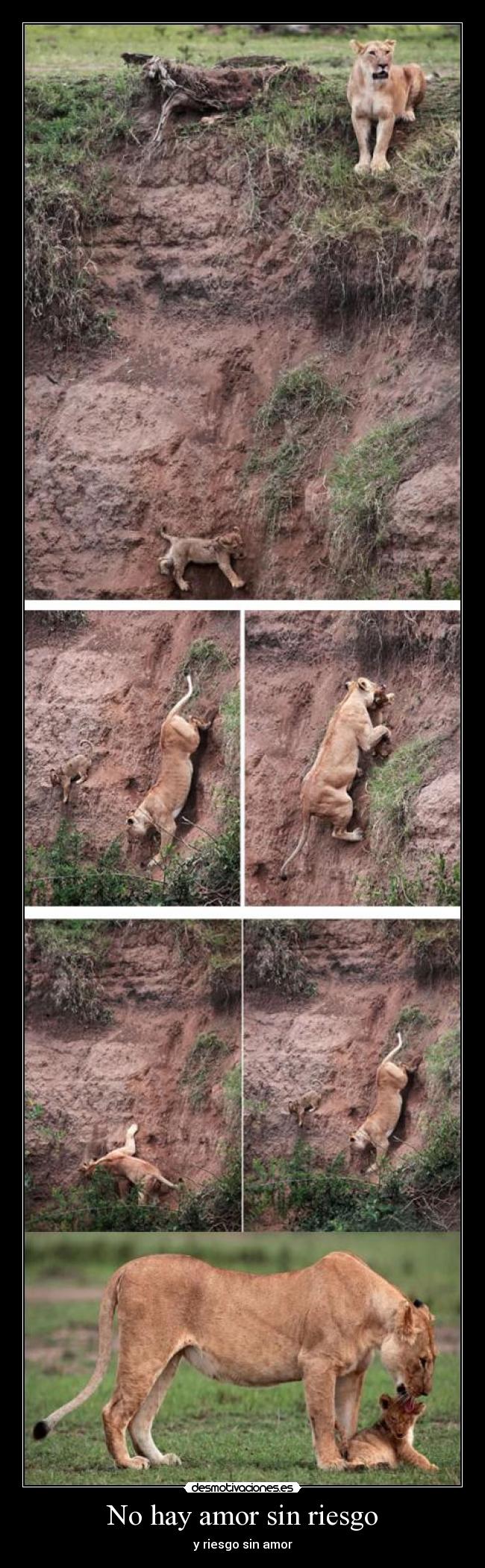 No hay amor sin riesgo - 