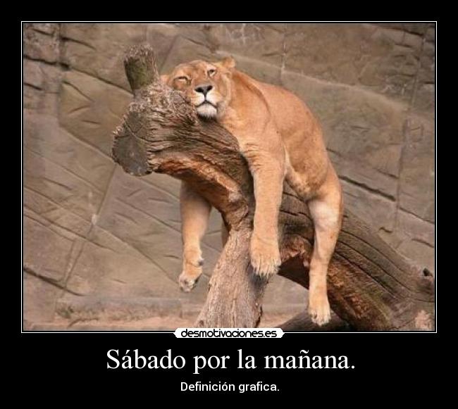 Sábado por la mañana. - 