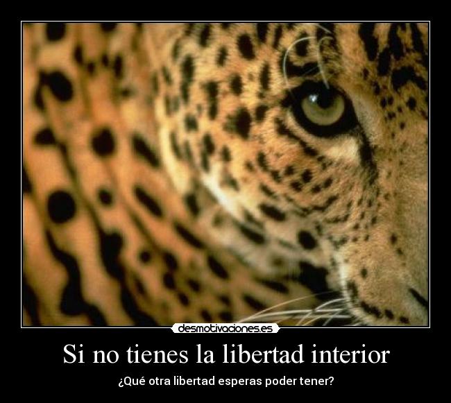 Si no tienes la libertad interior -