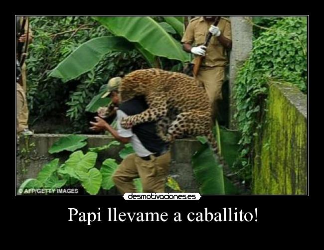 carteles papi desmotivaciones