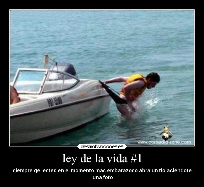 ley de la vida #1 -