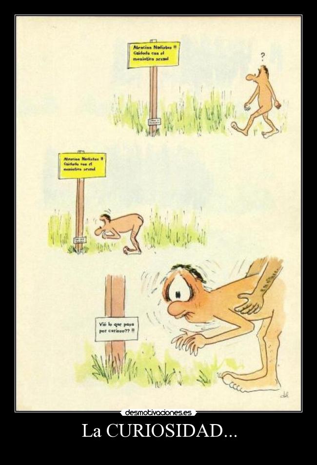 La CURIOSIDAD... -