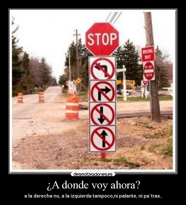 ¿A donde voy ahora? - 