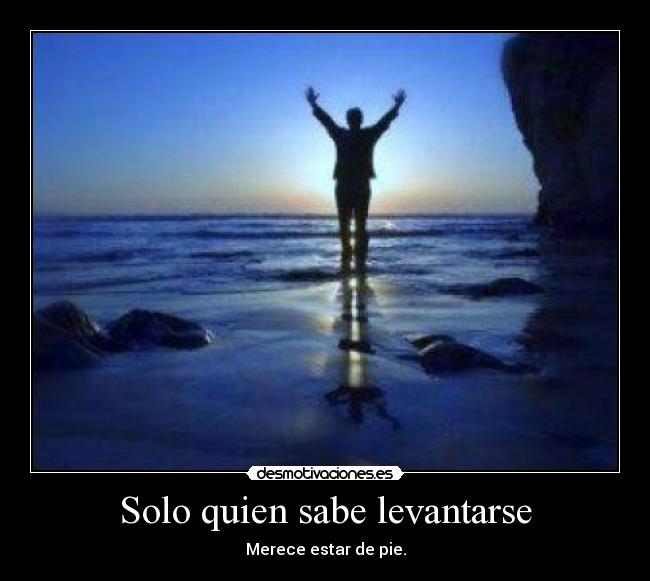 carteles solo quien sabe levantarse merece estar pie desmotivaciones