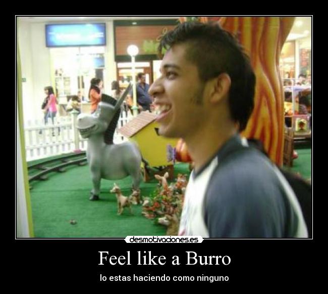Feel like a Burro - lo estas haciendo como ninguno
