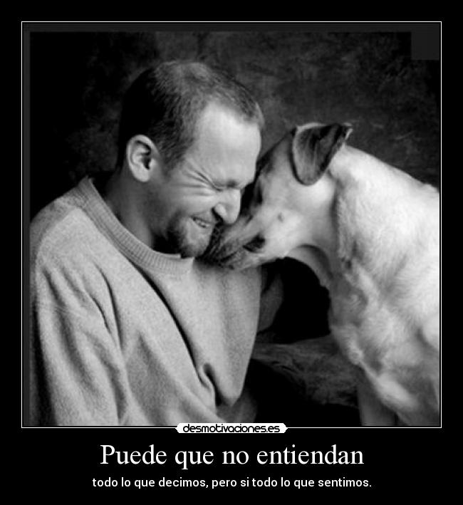 Puede que no entiendan - todo lo que decimos, pero si todo lo que sentimos.