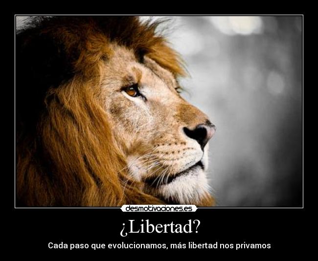 carteles libertad quiero ser libre cono desmotivaciones