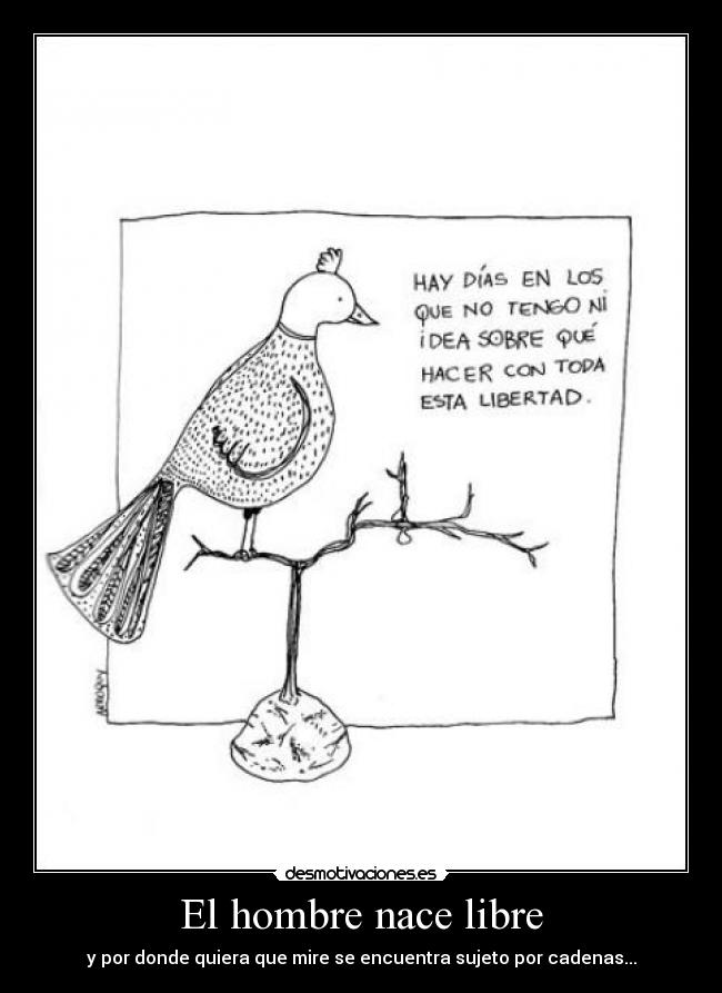 El hombre nace libre -