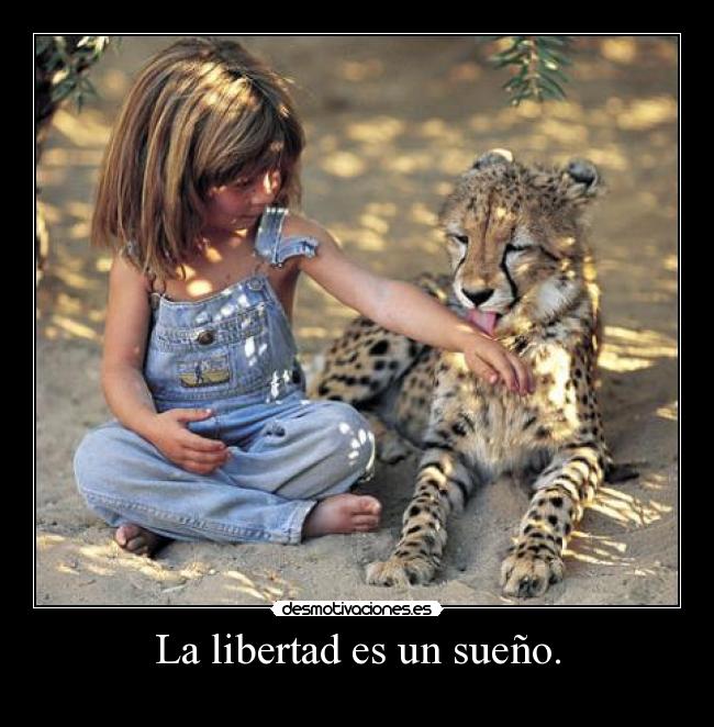 La libertad es un sueño. -