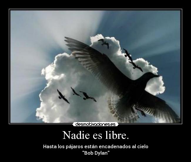 Nadie es libre. - 