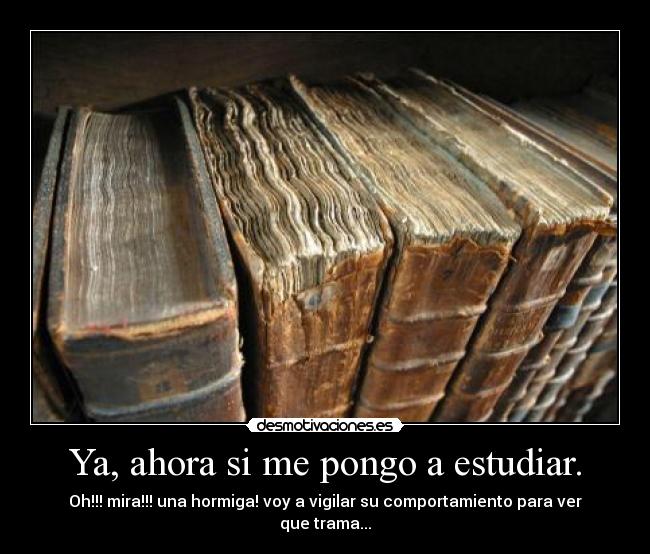 Ya, ahora si me pongo a estudiar. - Oh!!! mira!!! una hormiga! voy a vigilar su comportamiento para ver que trama...