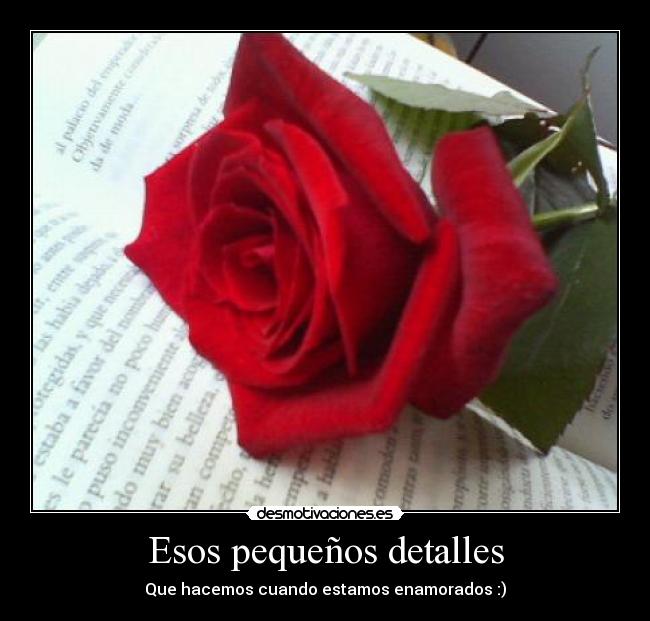 carteles rosalibroamor desmotivaciones