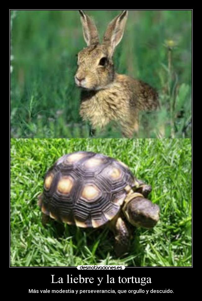 La liebre y la tortuga -