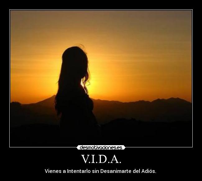 V.I.D.A. - 