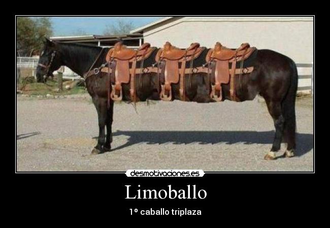 Limoballo - 1º caballo triplaza
