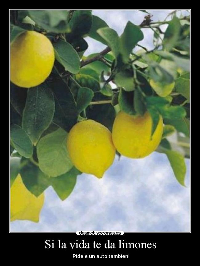 Si la vida te da limones - ¡Pidele un auto tambien!