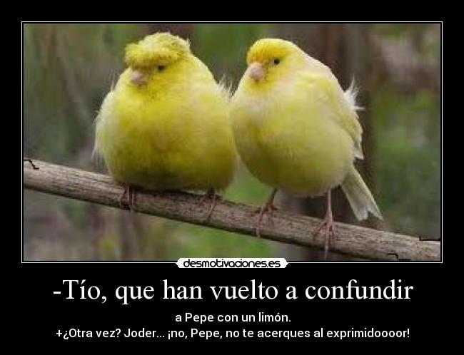 -Tío, que han vuelto a confundir -