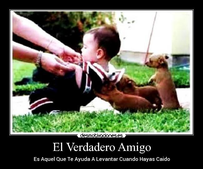 carteles danielitacdp desmotivaciones