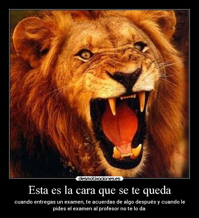 Esta es la cara que se te queda - cuando entregas un examen, te acuerdas de algo después y cuando le
pides el examen al profesor no te lo da 