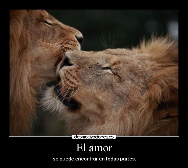 El amor - se puede encontrar en todas partes.