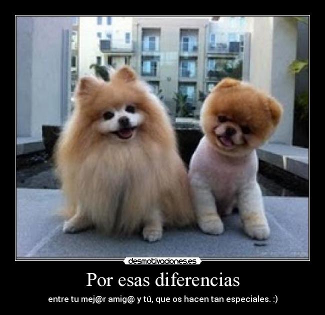 Por esas diferencias - 