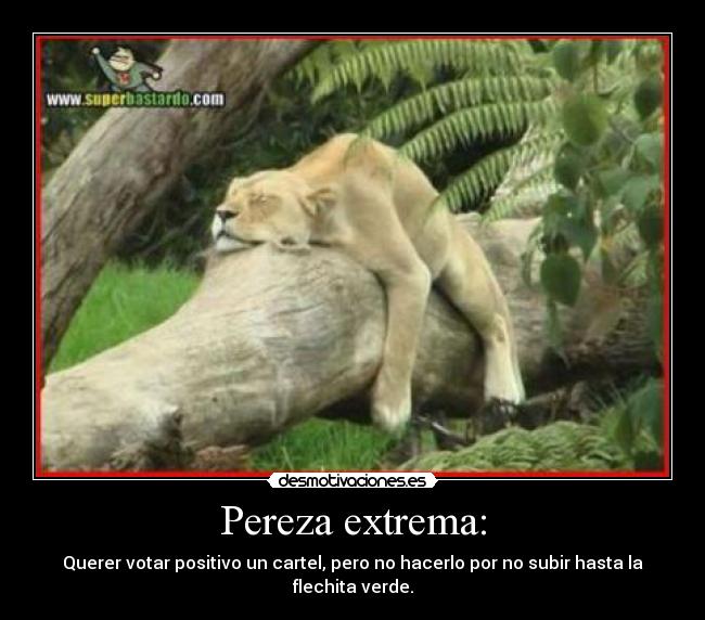 Pereza extrema: - Querer votar positivo un cartel, pero no hacerlo por no subir hasta la flechita verde.