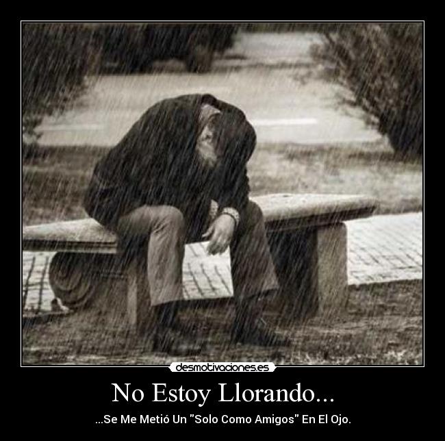 No Estoy Llorando... - 