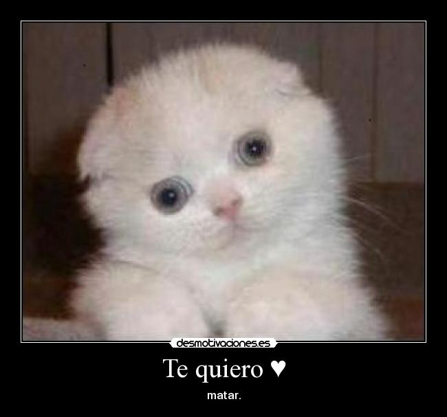 Te quiero ♥ -