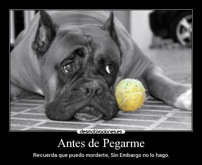 Antes de Pegarme - 