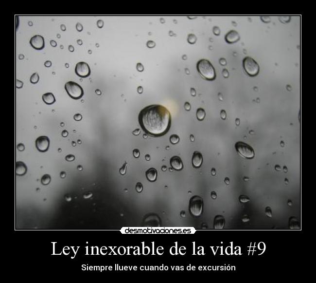 Ley inexorable de la vida #9 -