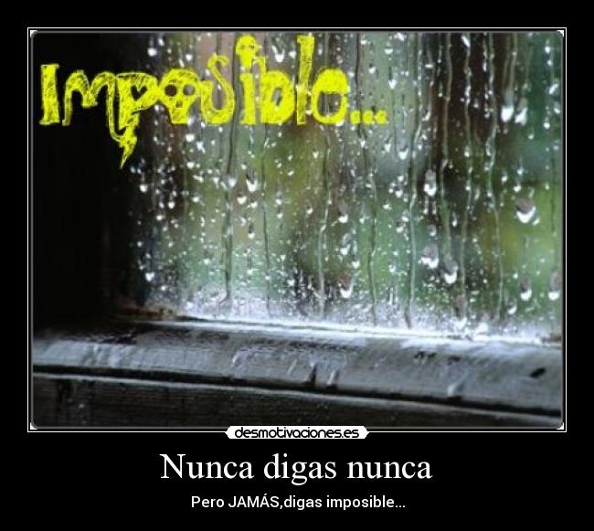 Nunca digas nunca - 