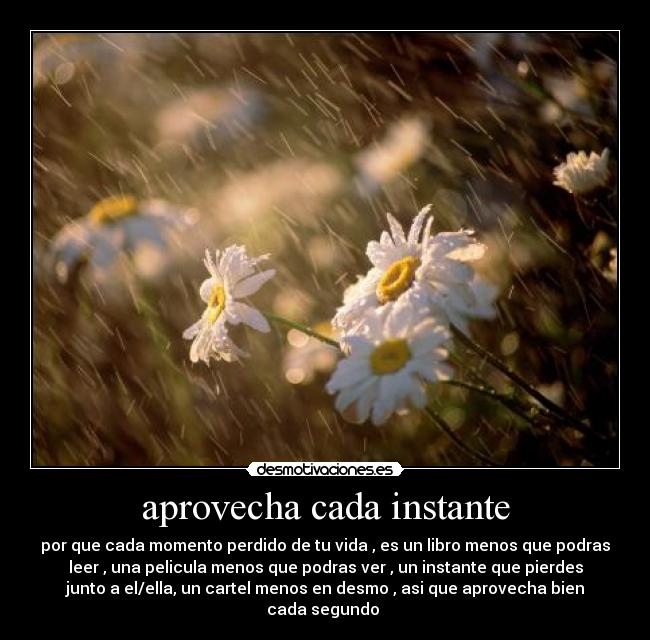 aprovecha cada instante - por que cada momento perdido de tu vida , es un libro menos que podras
leer , una pelicula menos que podras ver , un instante que pierdes
junto a el/ella, un cartel menos en desmo , asi que aprovecha bien
cada segundo