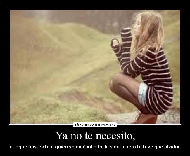 Ya no te necesito, - aunque fuistes tu a quien yo amé infinito, lo siento pero te tuve que olvidar.