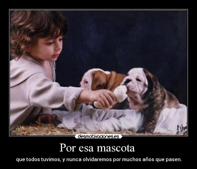 Por esa mascota  - 