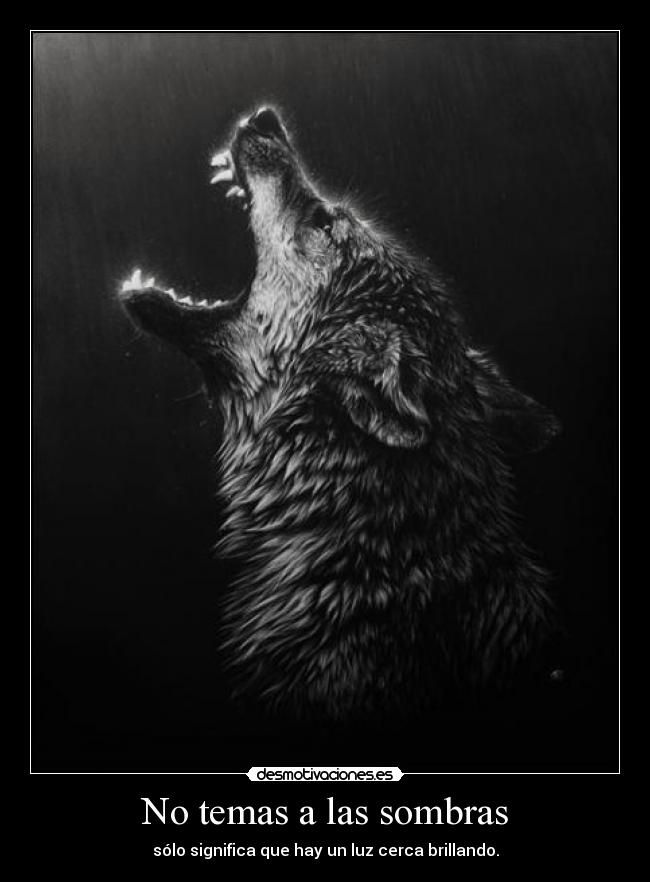 No temas a las sombras -