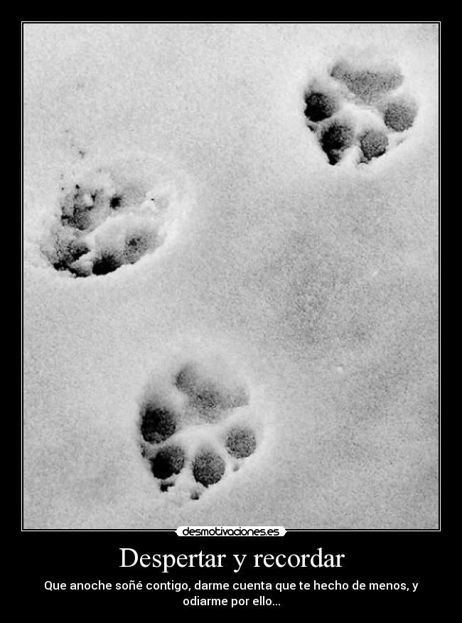 Despertar y recordar - Que anoche soñé contigo, darme cuenta que te hecho de menos, y odiarme por ello...