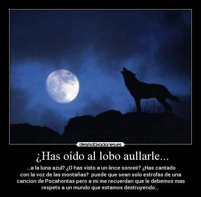 ¿Has oído al lobo aullarle... - ...a la luna azul? ¿O has visto a un lince sonreír? ¿Has cantado
con la voz de las montañas? puede que sean solo estrofas de una
cancion de Pocahontas pero a mi me recuerdan que le debemos mas
respeto a un mundo que estamos destruyendo...