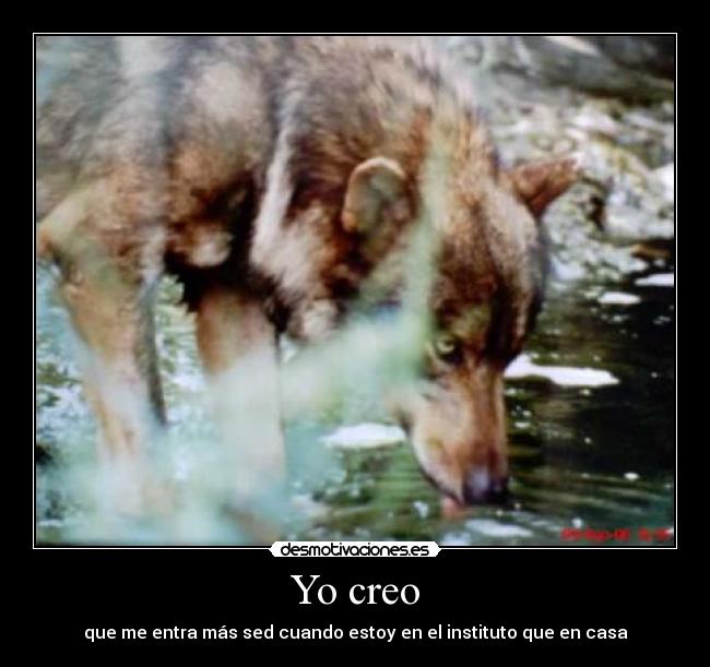 Yo creo - que me entra más sed cuando estoy en el instituto que en casa