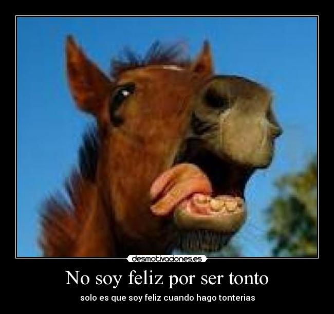 No soy feliz por ser tonto - solo es que soy feliz cuando hago tonterias