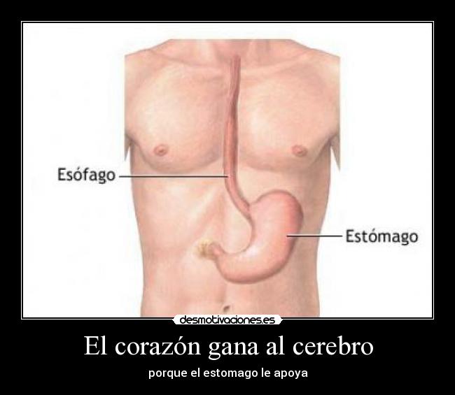 El corazón gana al cerebro -